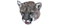 Male Cougars Icon.png