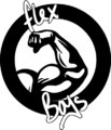 FLEX BOYS Logo.png