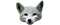 Arctic Foxes Icon.png